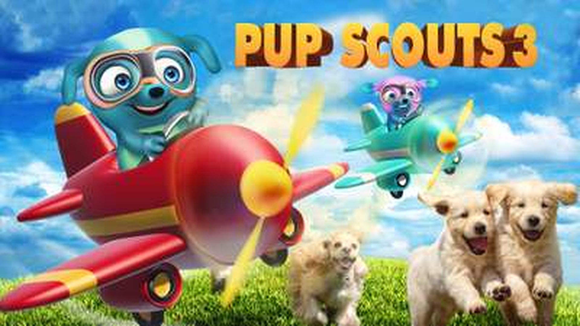 PUP SCOUTS