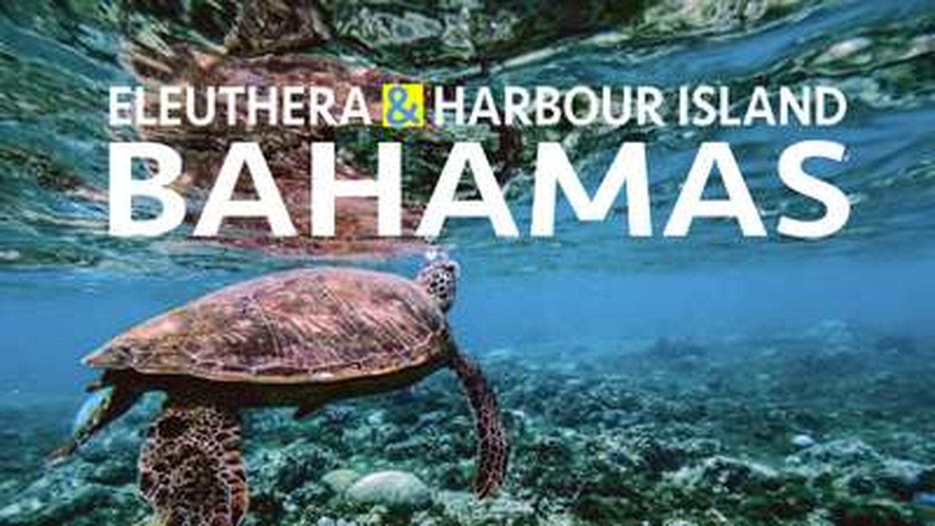 ELEUTHERA HARBOUR ISLAND:BAHAMAS