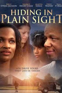 Hiding in Plain Sight 