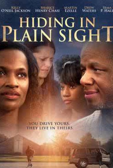 Hiding in Plain Sight 