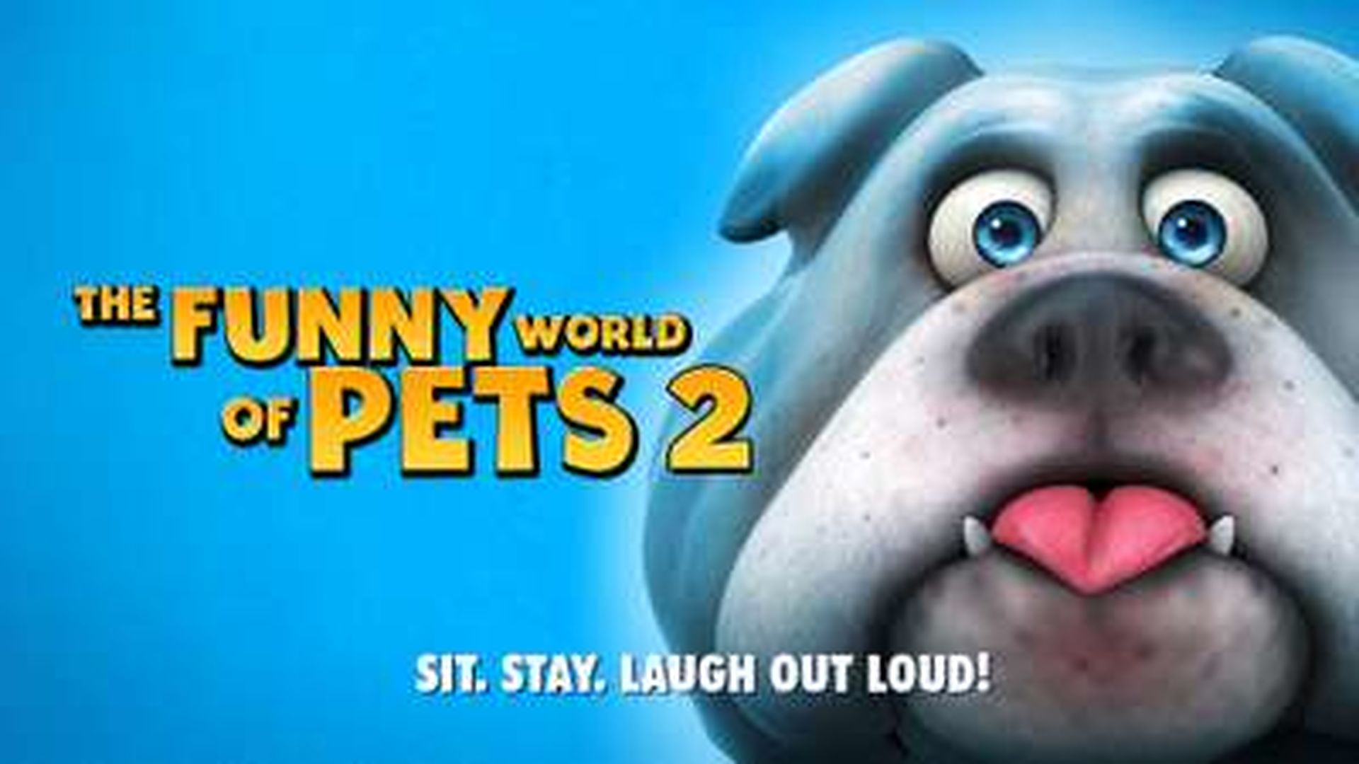 The Funny World Of Pets 2