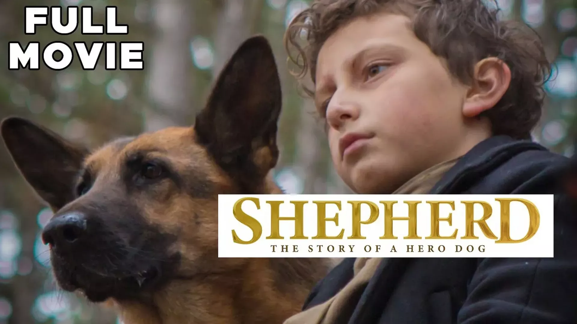 Shepherd:The Story Of A Hero Dog